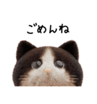 ネコねこ②（個別スタンプ：16）
