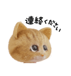 ネコねこ②（個別スタンプ：17）