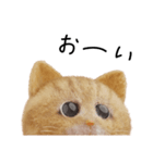 ネコねこ②（個別スタンプ：21）