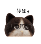 ネコねこ②（個別スタンプ：22）