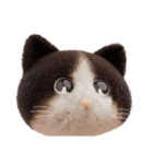 ネコねこ②（個別スタンプ：34）