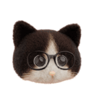ネコねこ②（個別スタンプ：36）