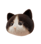 ネコねこ②（個別スタンプ：40）