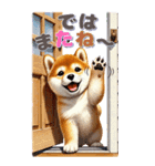 柴犬さんの気持ちを伝えるBIGスタンプ（個別スタンプ：12）