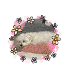 もちぼくスタンプ（個別スタンプ：3）