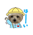 もちぼくスタンプ（個別スタンプ：4）