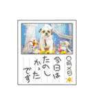 もちぼくスタンプ（個別スタンプ：19）