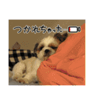もちぼくスタンプ（個別スタンプ：30）