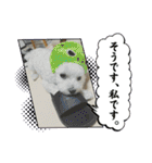もちぼくスタンプ（個別スタンプ：31）