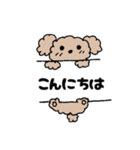 アニマル丁寧＆日常言葉（個別スタンプ：2）