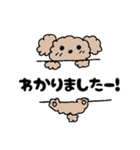 アニマル丁寧＆日常言葉（個別スタンプ：10）