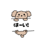 アニマル丁寧＆日常言葉（個別スタンプ：14）