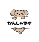 アニマル丁寧＆日常言葉（個別スタンプ：17）