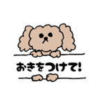 アニマル丁寧＆日常言葉（個別スタンプ：22）