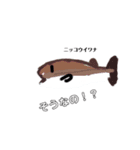魚スタンプだい3だん（個別スタンプ：1）