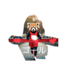 ハイセンスなレッサーパンダさん（個別スタンプ：4）