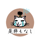 猫武将の武士語スタンプ（個別スタンプ：20）