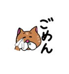 チビシロ2（個別スタンプ：3）