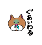 チビシロ2（個別スタンプ：13）