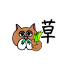 チビシロ2（個別スタンプ：15）