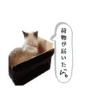 ちーさんとやまさん③（個別スタンプ：7）