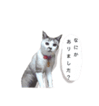 ちーさんとやまさん③（個別スタンプ：9）