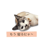ちーさんとやまさん③（個別スタンプ：10）