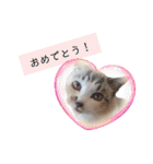 ちーさんとやまさん③（個別スタンプ：20）