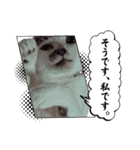 ちーさんとやまさん③（個別スタンプ：21）