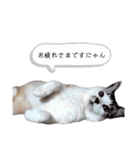 ちーさんとやまさん③（個別スタンプ：28）