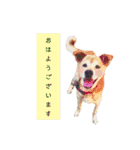 ちーさんとやまさん③（個別スタンプ：33）