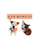 ちーさんとやまさん③（個別スタンプ：34）