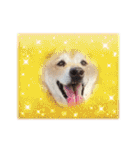 ちーさんとやまさん③（個別スタンプ：37）