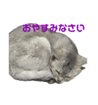 のんびりももちゃんの日常（個別スタンプ：6）