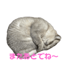 のんびりももちゃんの日常（個別スタンプ：16）