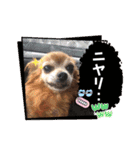 ラブリ～はなちゃん❤️＆こてつ編（個別スタンプ：3）