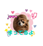 ラブリ～はなちゃん❤️＆こてつ編（個別スタンプ：5）