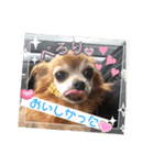 ラブリ～はなちゃん❤️＆こてつ編（個別スタンプ：7）