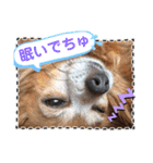 ラブリ～はなちゃん❤️＆こてつ編（個別スタンプ：8）