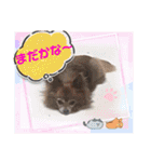 ラブリ～はなちゃん❤️＆こてつ編（個別スタンプ：10）