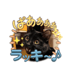 ラブリ～はなちゃん❤️＆こてつ編（個別スタンプ：13）