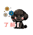 黒いマルプーちゃん_バージョン3（個別スタンプ：4）
