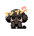 黒いマルプーちゃん_バージョン3（個別スタンプ：10）