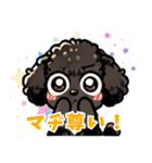黒いマルプーちゃん_バージョン3（個別スタンプ：11）