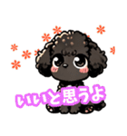 黒いマルプーちゃん_バージョン3（個別スタンプ：12）