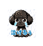 黒いマルプーちゃん_バージョン3（個別スタンプ：15）