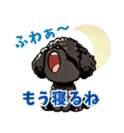 黒いマルプーちゃん_バージョン3（個別スタンプ：18）