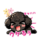 黒いマルプーちゃん_バージョン3（個別スタンプ：20）