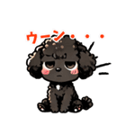 黒いマルプーちゃん_バージョン3（個別スタンプ：22）