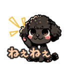 黒いマルプーちゃん_バージョン3（個別スタンプ：23）